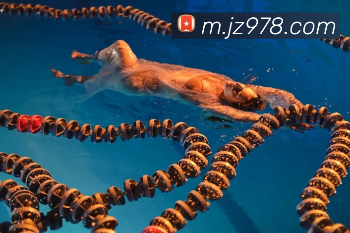 App Interface Preview