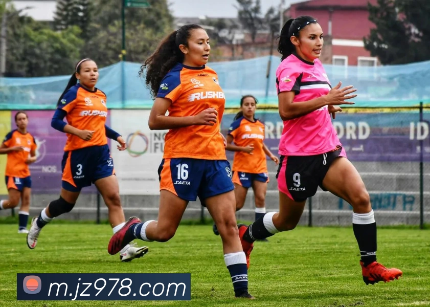 九州娱乐官网平台APP 封面图